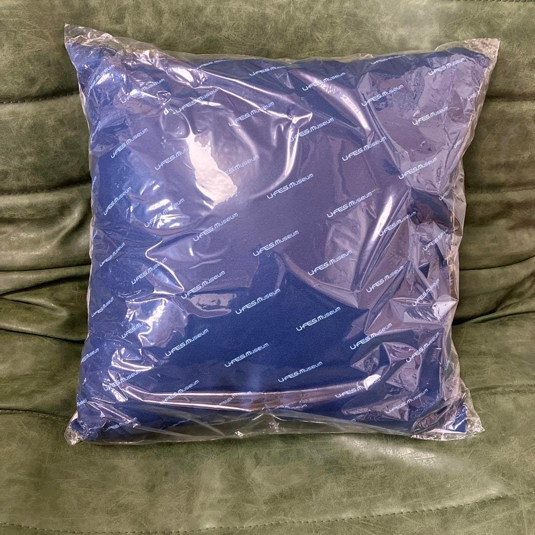 小林直己 バースデー クッション 小林直己 クッション×2 小林直己 バースデー クッション 三代目